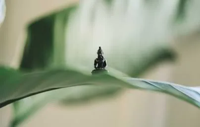 高清流畅直播，身临其境的观赛体验 - 满冠体育